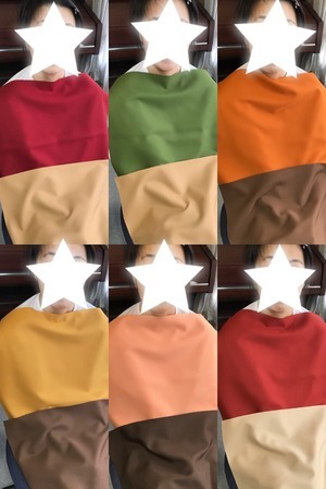 Hさまカラー_コピー