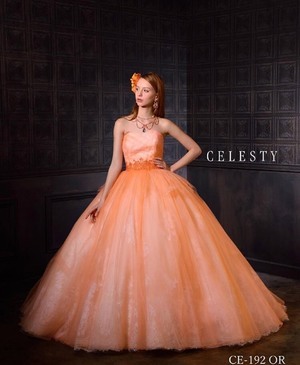 きれいなオレンジ_コピー