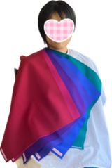 _com.apple.Pasteboard.8Nisd8_コピー_コピー